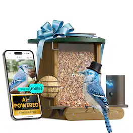 BIRDFY - Smart Bird Feeder Cedar D with Solar Panel, 1080P Camera, Lifetime Free AI Bird ID, Slow Motion, Night Vision, Durable - Brown