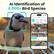 AI Identification of 6,000+ Bird Species
9:41 Today
53 All
21 Red-bellied Woodpecker
16 Northern Cardinal
10 Blue Jay
Blue Jay
2 hour(s) ago 19:04 CDT
*Try free for 7 days, then subscribe flexibly in the app.
Birdfy Home Collection Community Discover Shop