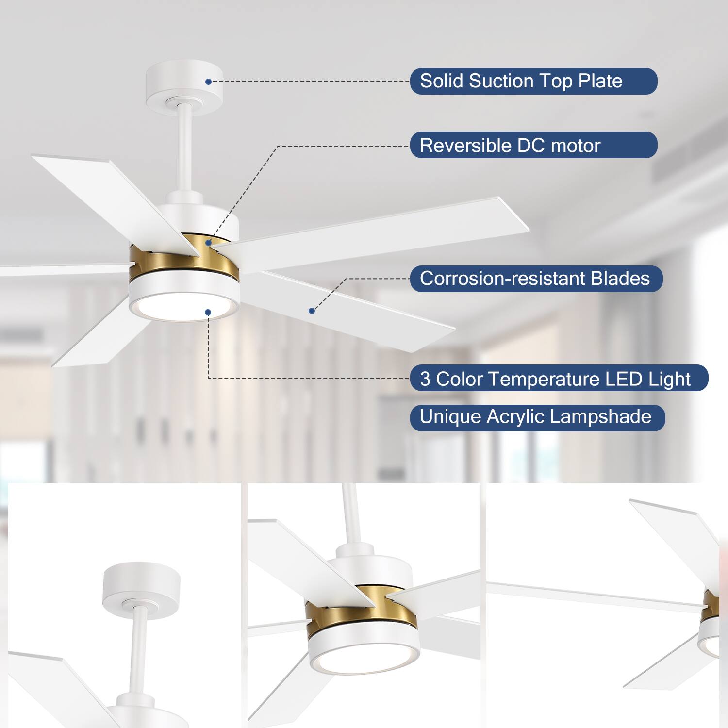 - Solid Suction Top Plate
- Reversible DC motor
- Corrosion-resistant Blades
- 3 Color Temperature LED Light
- Unique Acrylic Lampshade