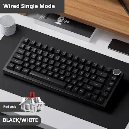 Wired Single Mode
Red axis
BLACK/WHITE