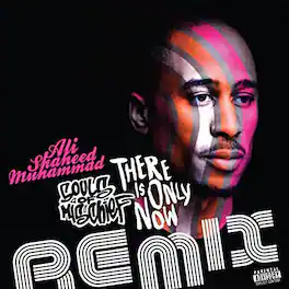 Souls of Mischief - There Is Only Now Remixes - VINYL LP