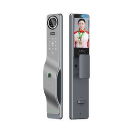 Cluzine - 3D Face Recognition Smart Door Lock with Camera, Palm Vein, Video Doorbell, APP Remote, Auto Lock
