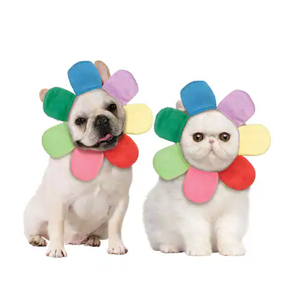 Front. Funworld - Flower Petal Hood Pet Costume | XS - Multi-Colored.