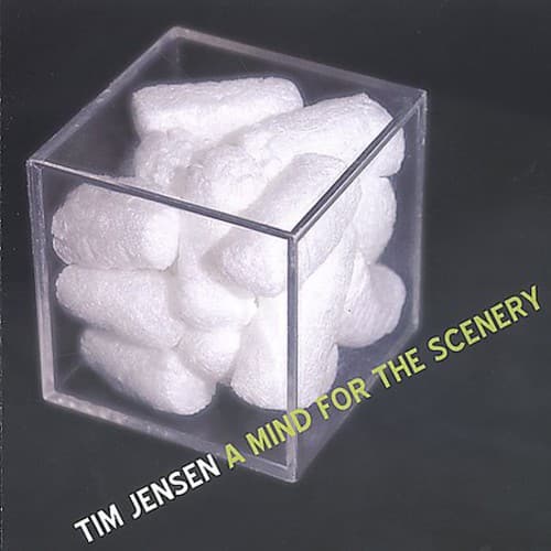 Tim Jensen - A Mind For The Scenery   - COMPACT DISCS [CD] price history on PriceWatchPro