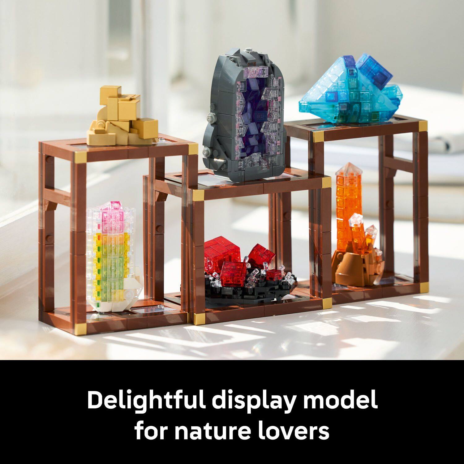 Delightful display model for nature lovers