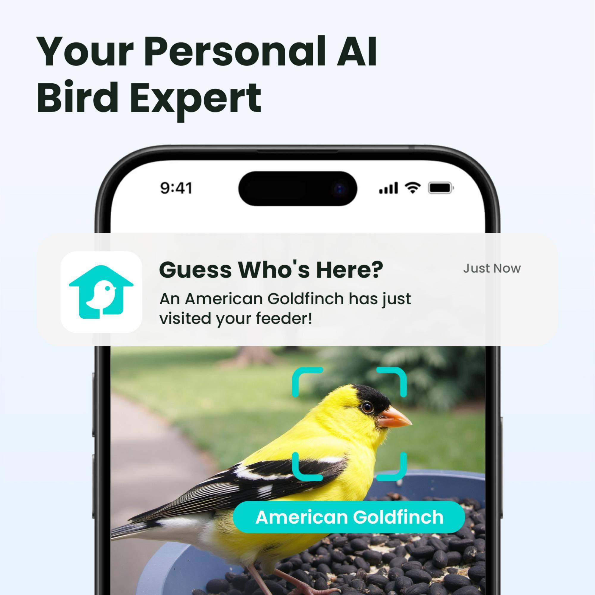 Your Personal AI Bird Expert

9:41

Guess Who's Here?
An American Goldfinch has just visited your feeder!

Just Now

American Goldfinch