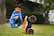 Alt View 21. Hot Wheels - Monster Truck Unstoppable Tiger Shark Remote Control Vehicle.