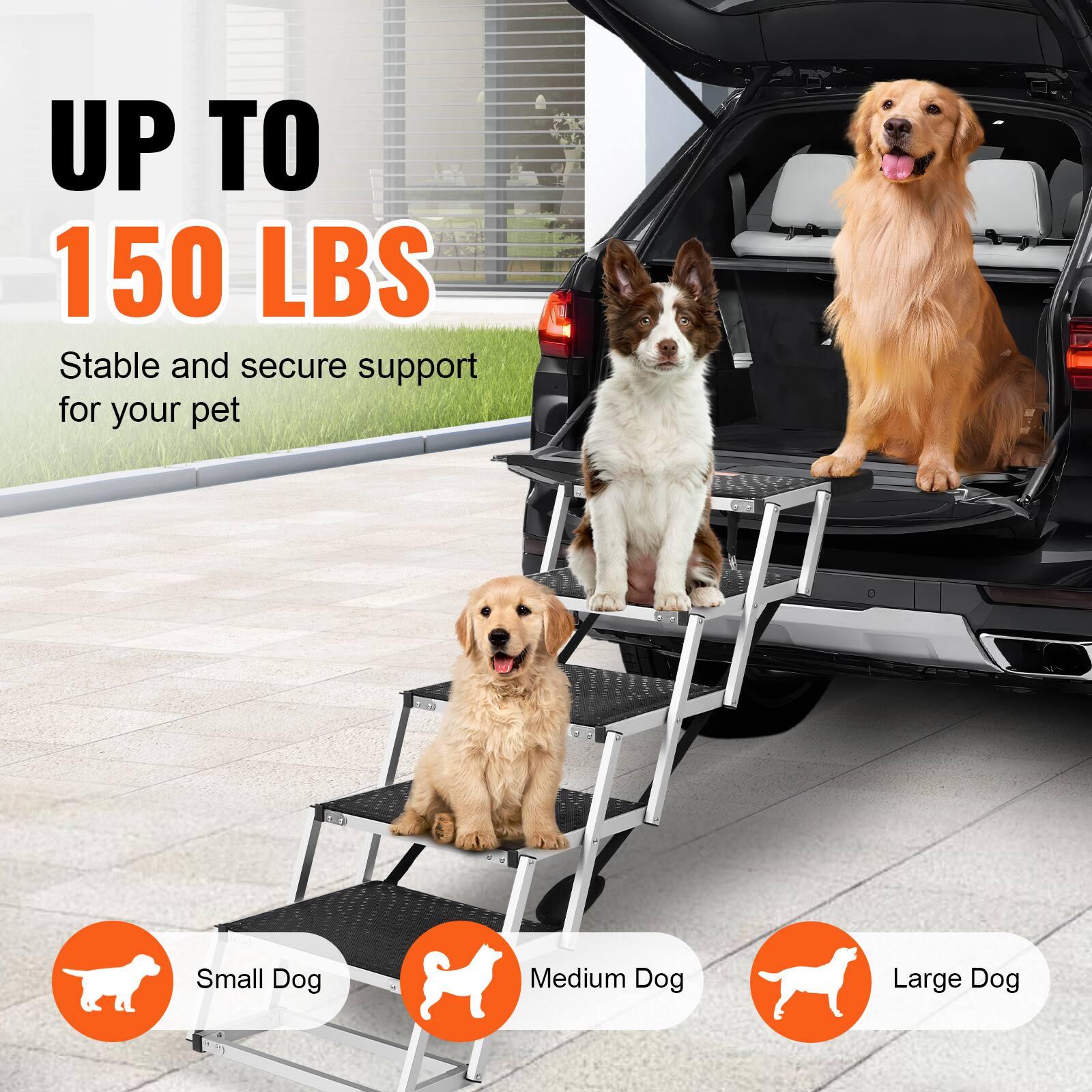 UP TO 150 LBS
Stable and secure support for your pet
Small Dog
Medium Dog
Large Dog