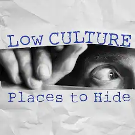 Low Culture - Places To Hide - VINYL LP
