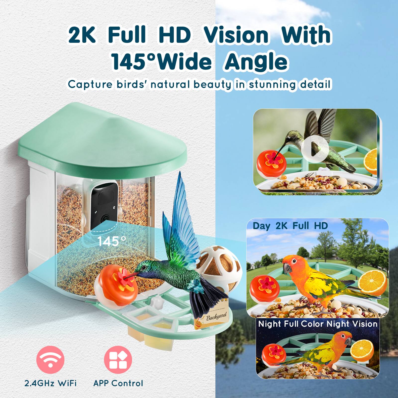 2K Full HD Vision With 145° Wide Angle  
Capture birds' natural beauty in stunning detail  

Day 2K Full HD  
Night Full Color Night Vision  

2.4GHz WiFi  
APP Control