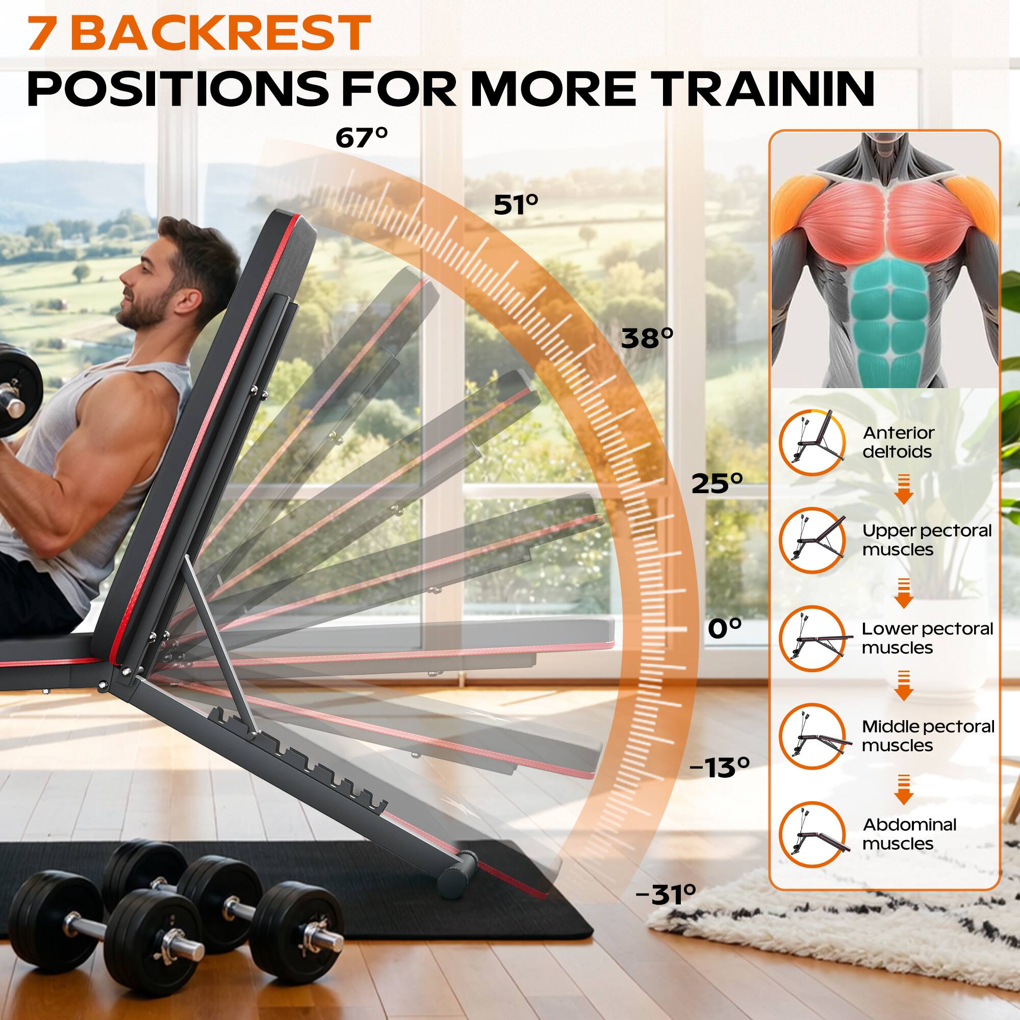 7 BACKREST POSITIONS FOR MORE TRAINING

67°
51°
38°
25°
0°
-13°
-31°

Anterior deltoids
Upper pectoral muscles
Lower pectoral muscles
Middle pectoral muscles
Abdominal muscles