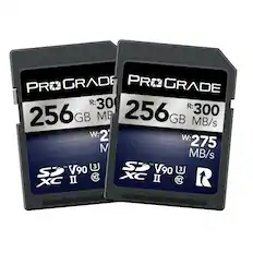 PR PROGRADE PROGRADE R30 R300 256 GB MB 256G GB MB/s W-2 W:275 M MB/s SD V90 @ SD V90 @ XC II CN XC II 10