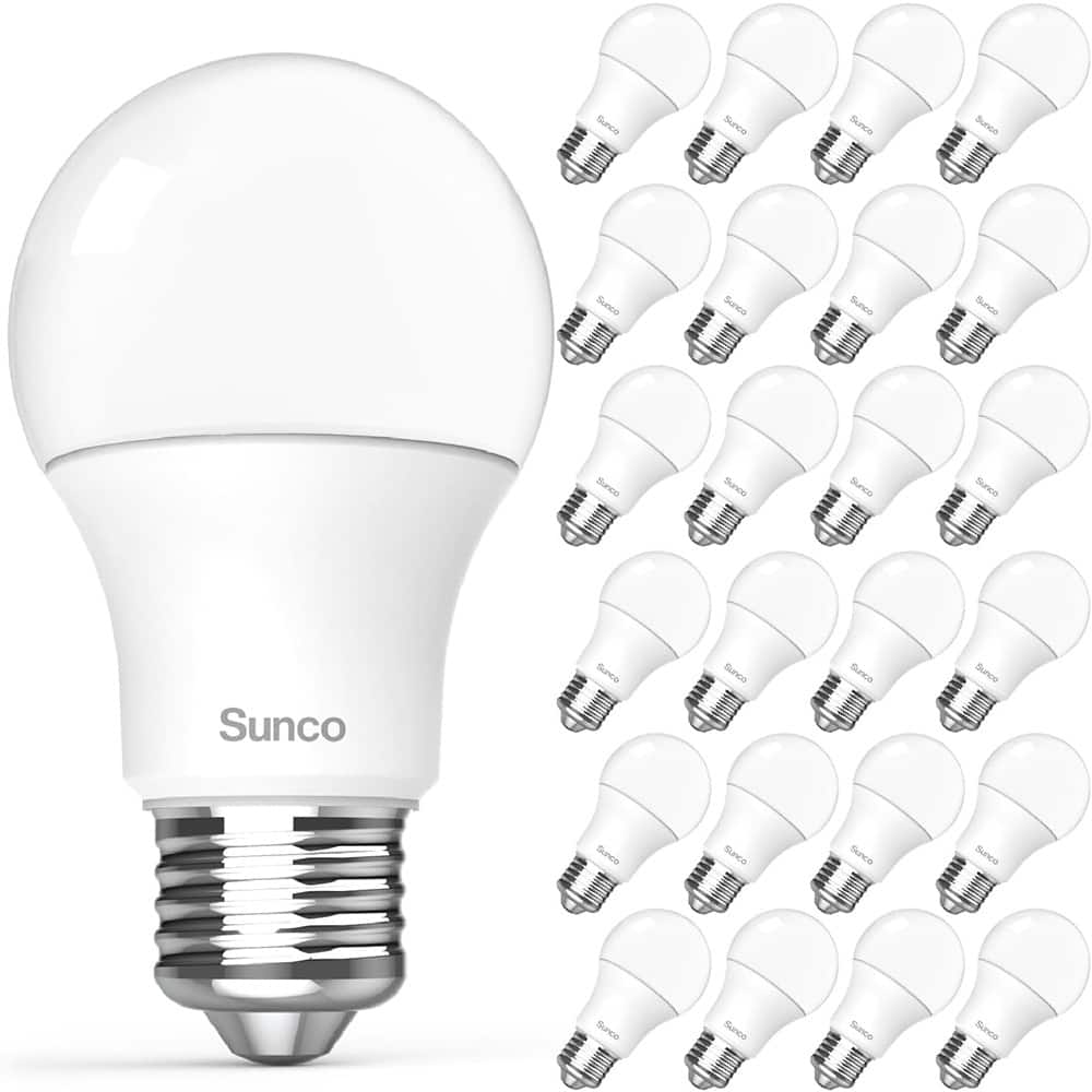 Schertz - 24 A19 LED Bulbs, 8W Daylight 5000K, 850LM, E26, Non-Dimmable