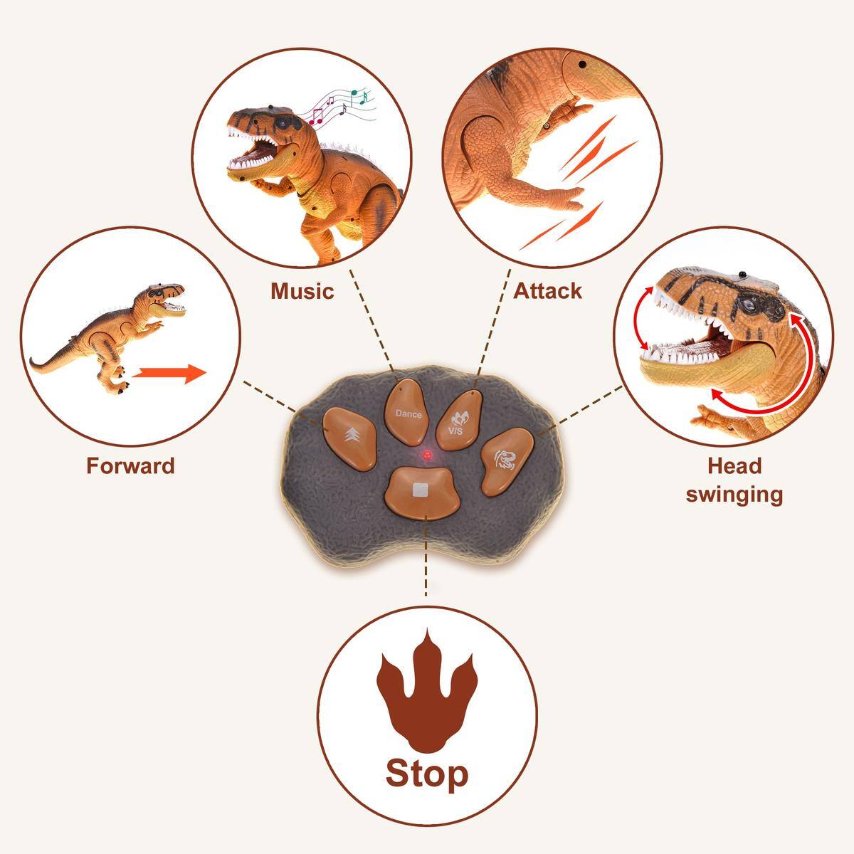 - Forward
- Music
- Attack
- Head swinging
- Stop