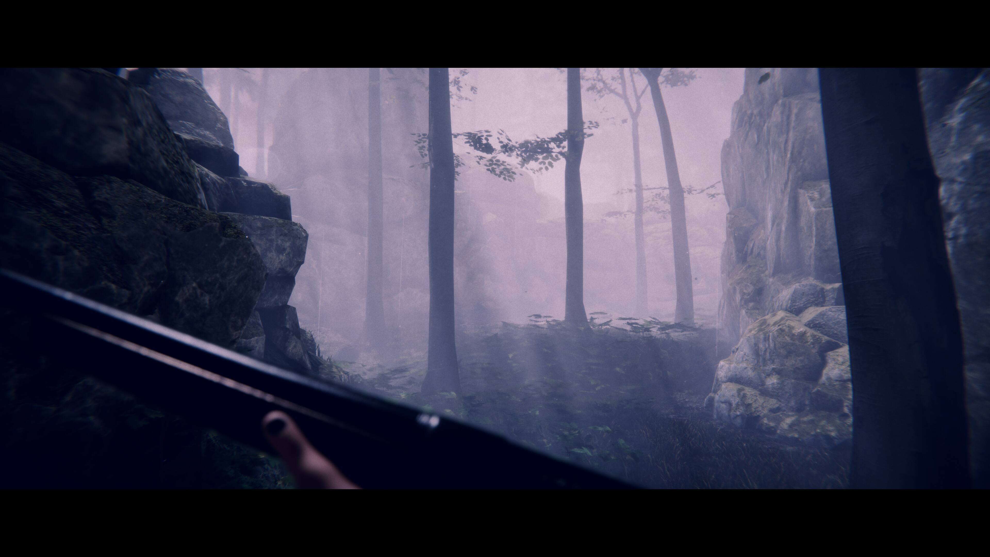 Alt View 5. Selecta Play - Project Songbird.