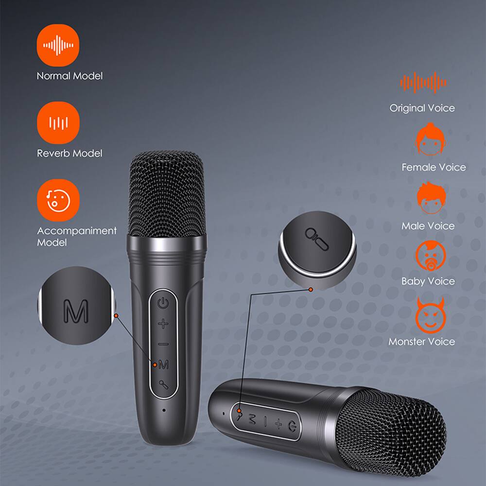 Normal Model  
Reverb Model  
Accompaniment Model  
Original Voice  
Female Voice  
Male Voice  
Baby Voice  
Monster Voice  

M  
314G