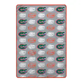 Pegasus - Florida Gators 66" x 95" Oversized Logo Roll Ultra Cozy Blanket - Multicolor