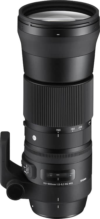 Sigma 150 600mm f/5 6.3 Sports DG OS HSM Contemporary Telephoto Sigma 150 600mm f/5 6.3 Sports DG OS HSM Contemporary Telephoto