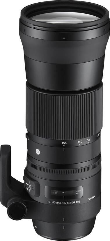 Sigma 150 600mm F 5 6.3 Dg OS Sport Neoprene Lente Protezione Sigma 150 600mm F 5 6.3 Dg OS Sport Neoprene Lente Protezione