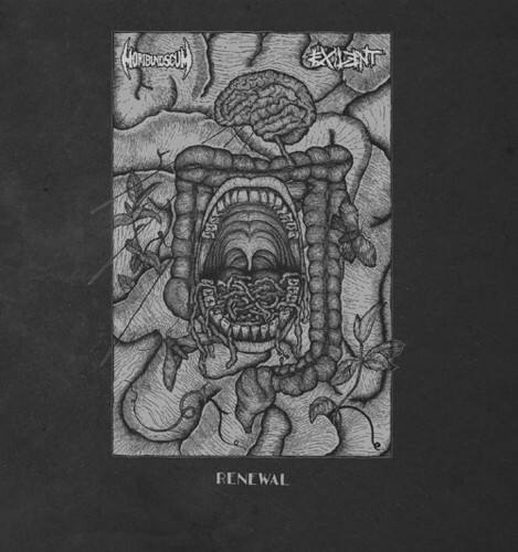 Front. Renewal [LP].
