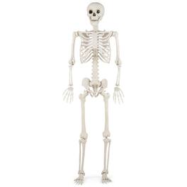 Boyel Living - 5.4 FT Indoor and Outdoor Decor Life Size Poseable Halloween Skeleton - White