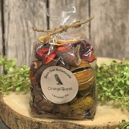 Barn Owl Botanicals
Orange Burst
Lancaster, PA