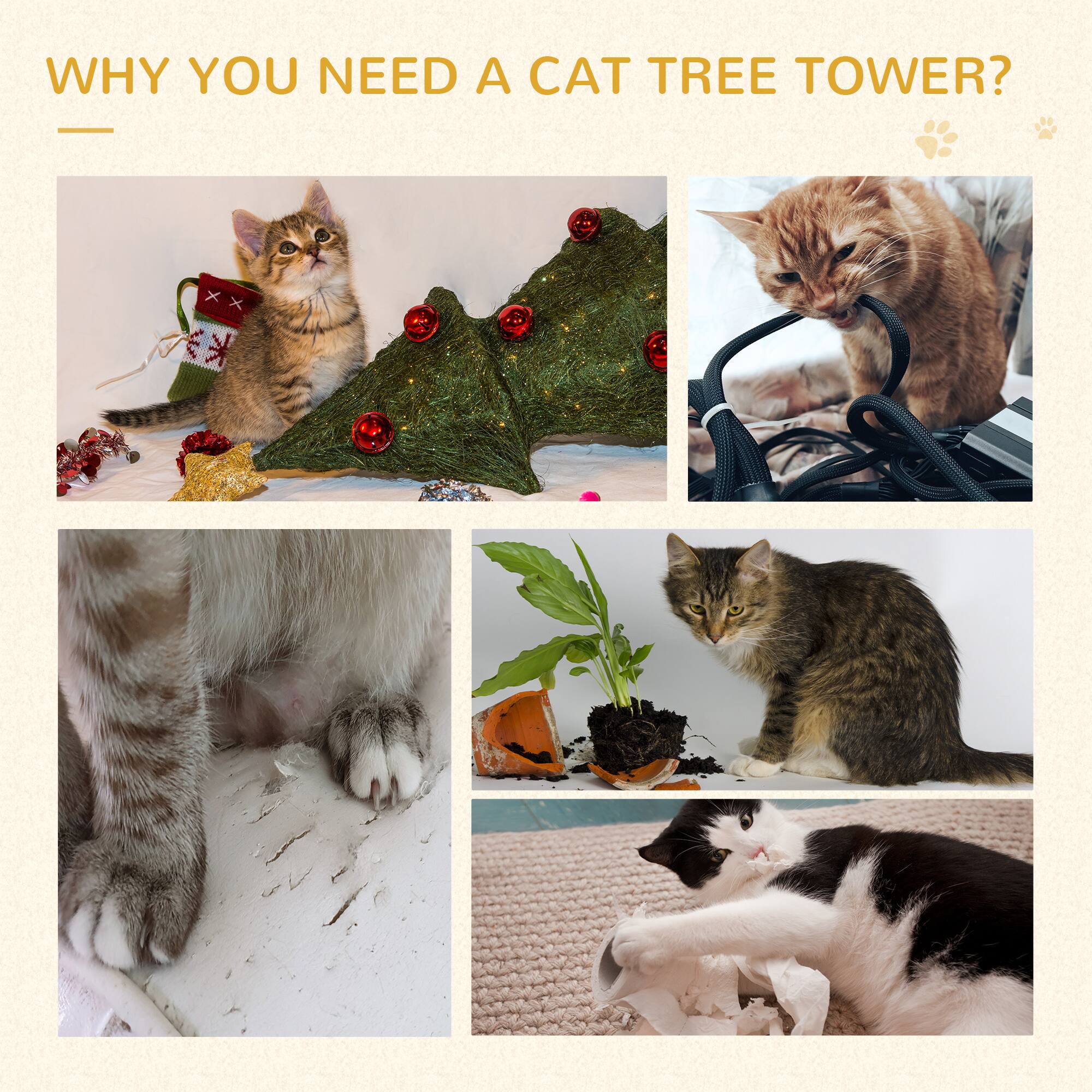 WHY YOU NEED A CAT TREE TOWER?