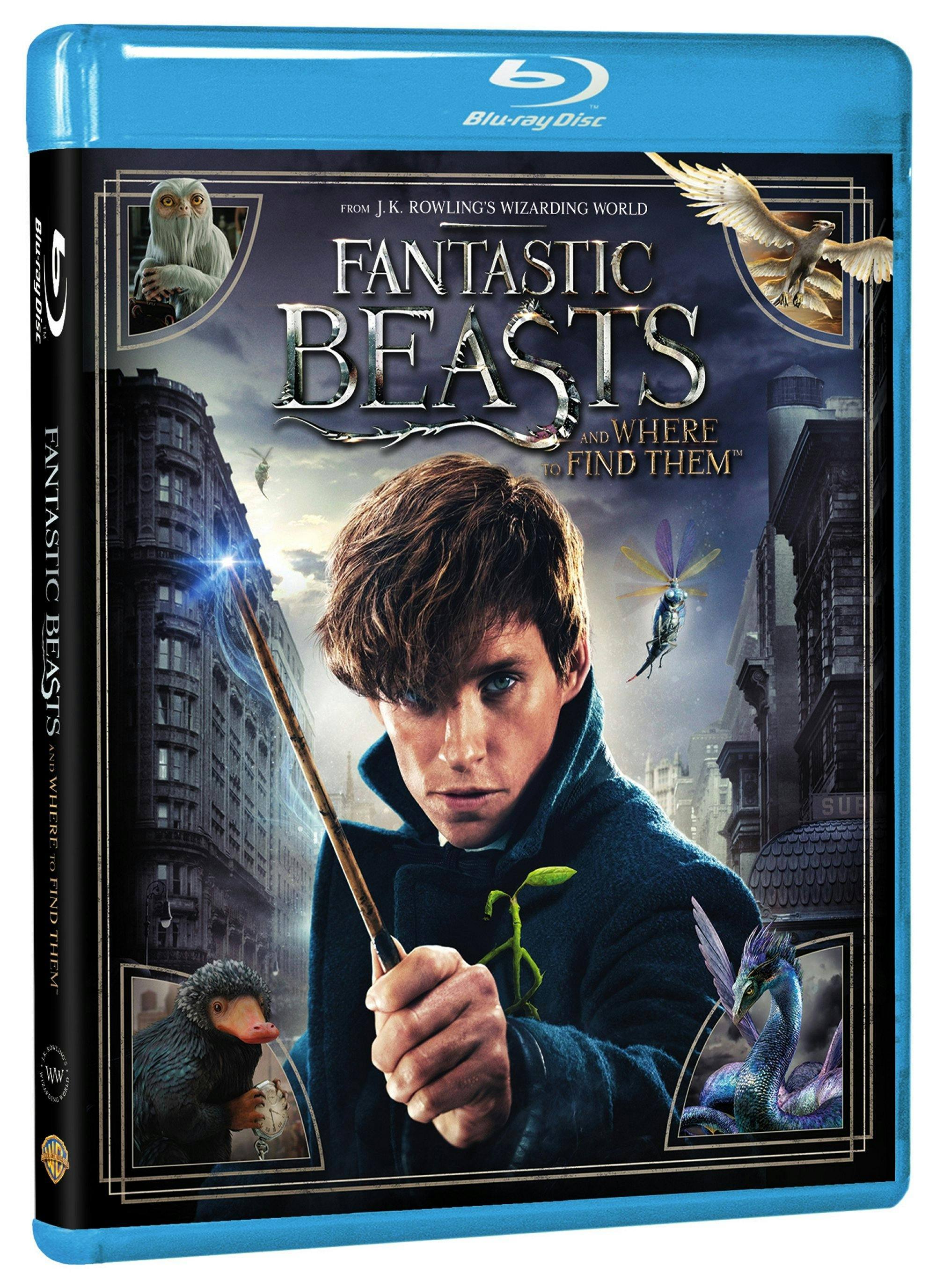 Angle. Fantastic Beasts and Where to Find Them [Blu-Ray].