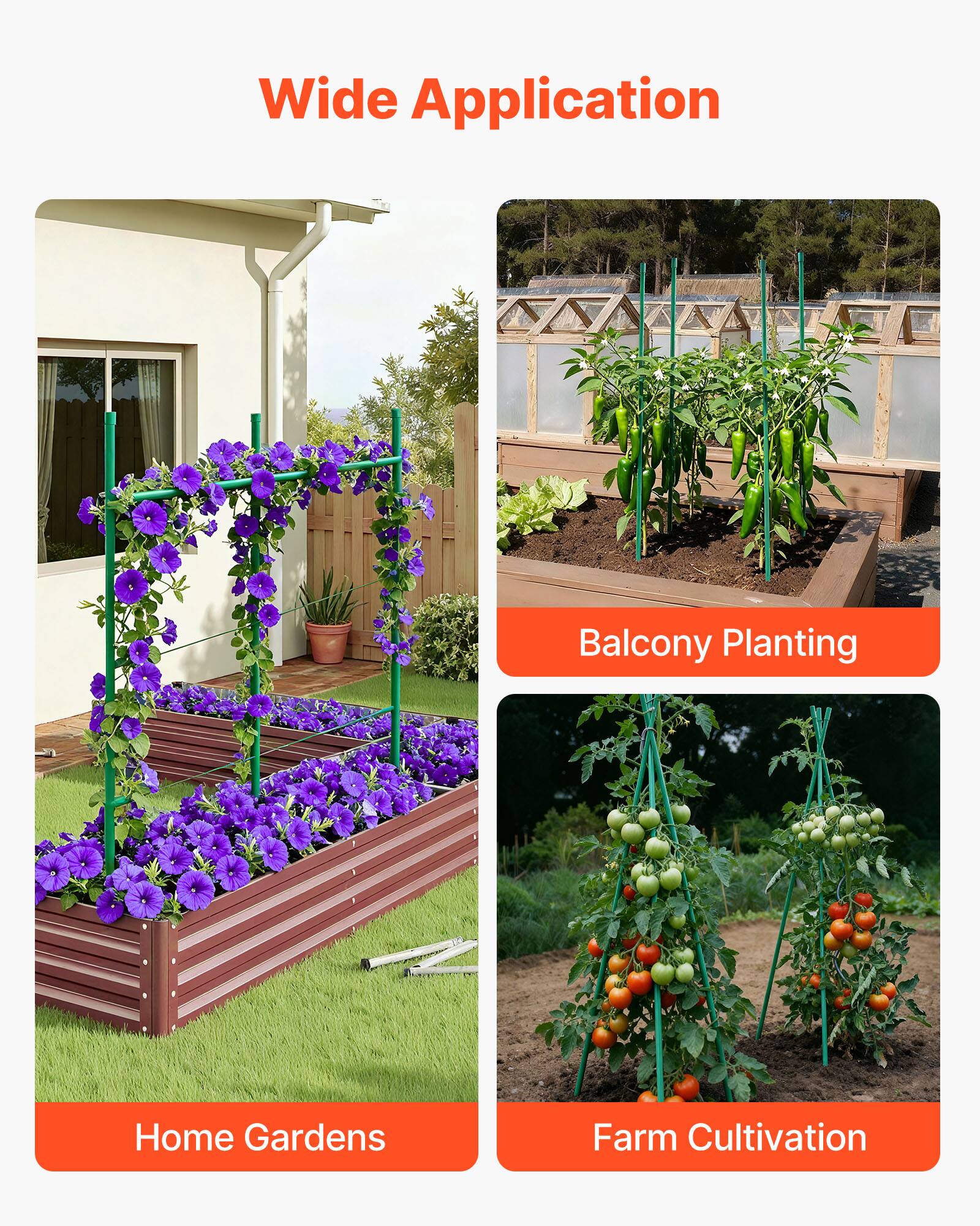 Wide Application  
Balcony Planting  
Home Gardens  
Farm Cultivation