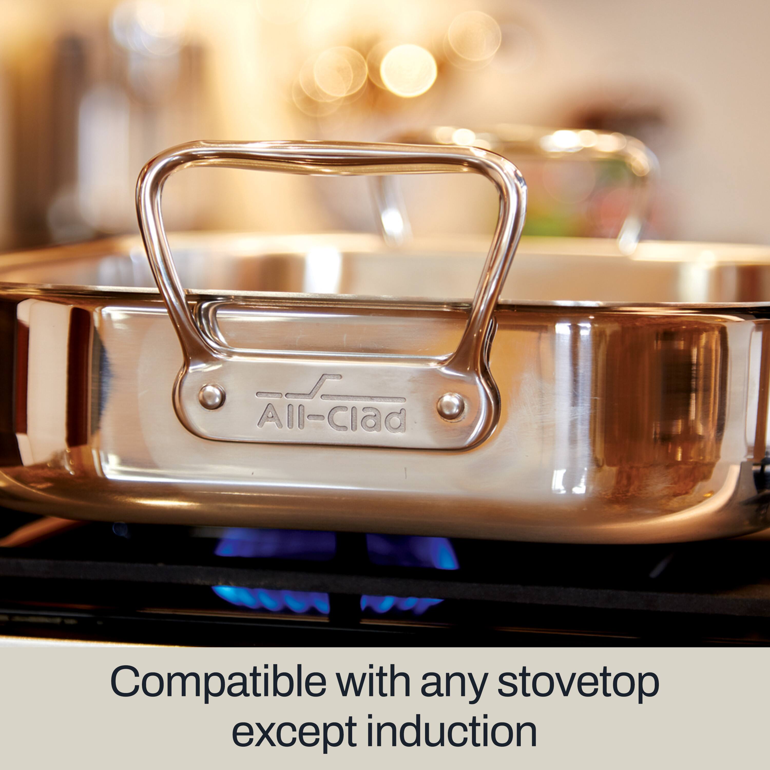 All-Clad  
Compatible with any stovetop except induction