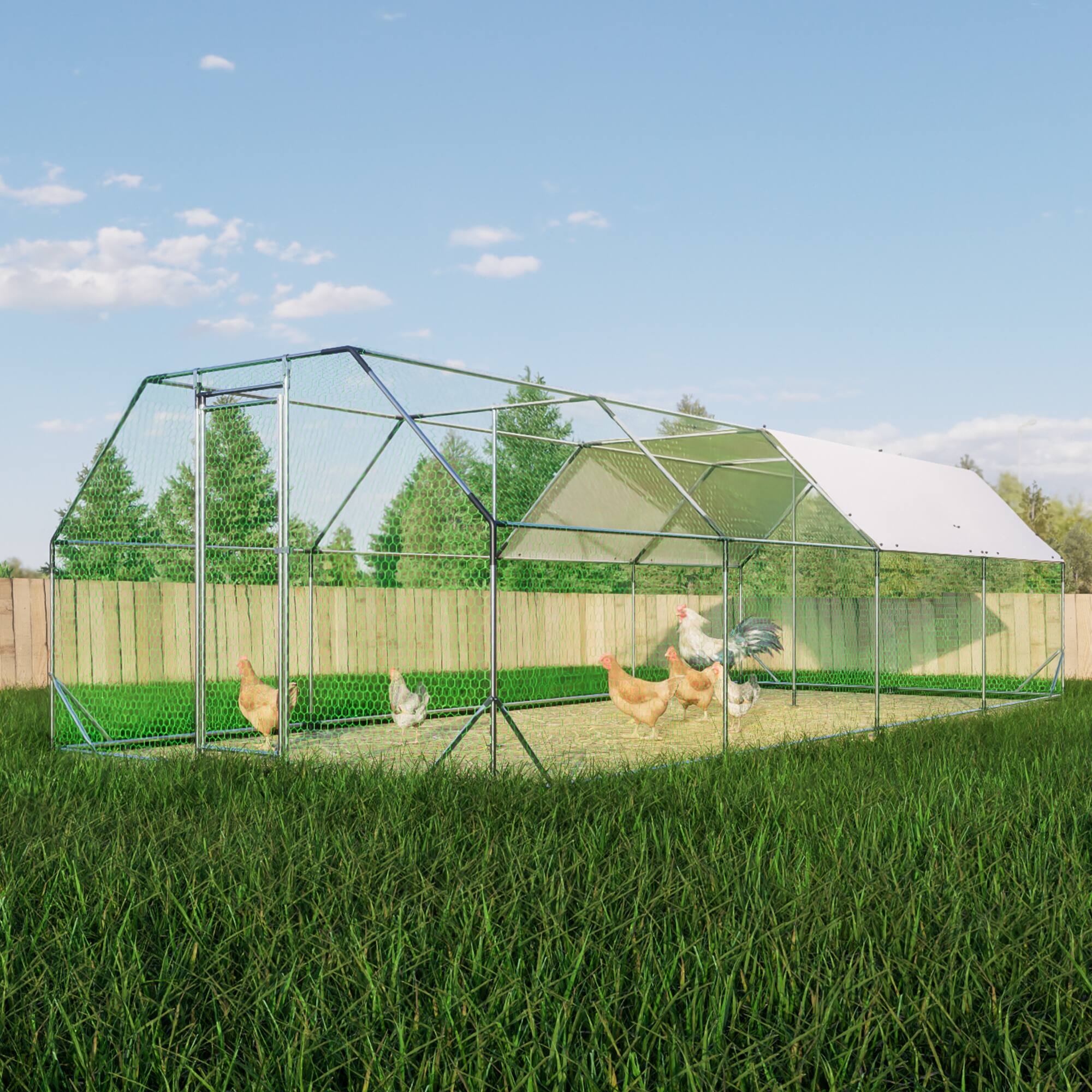 Angle. Mondawe - 10 ft x 26 ft Galvanized Large Metal Walk in Chicken Coop Run Hutch Hen House.