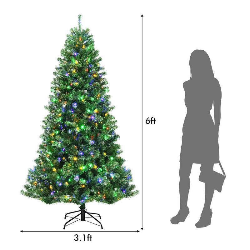 6ft  
3.1ft