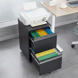 GOODSILO - 2-Drawer Locking File Cabinet - Mobile Under Desk Filing for Letter/Legal/A4 - Home Office Storage - Black