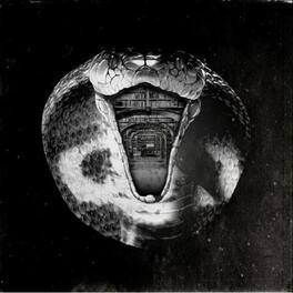 The Mommyheads - Genius Killer - VINYL LP