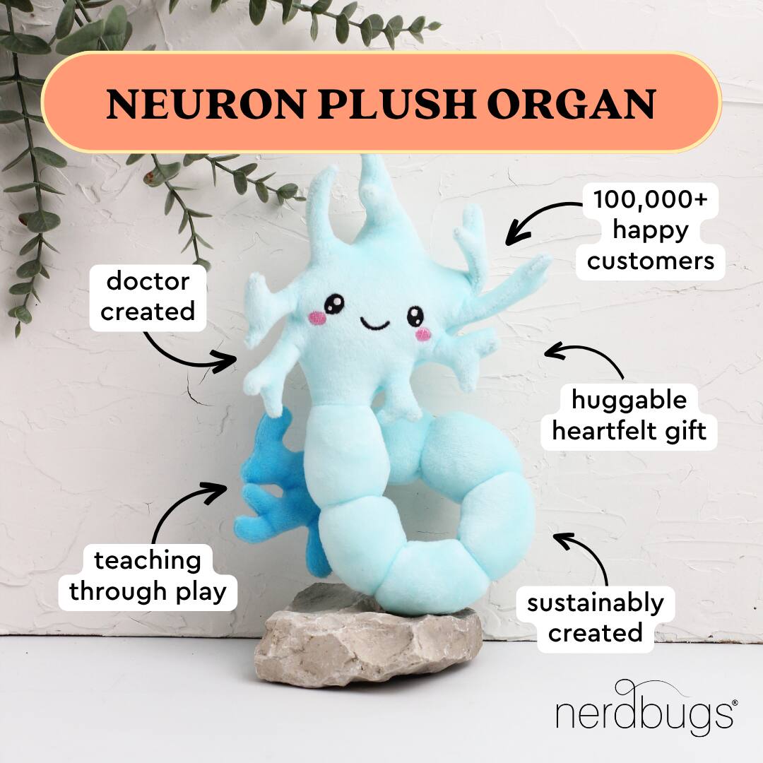 NEURON PLUSH ORGAN

- doctor created
- 100,000+ happy customers
- huggable heartfelt gift
- teaching through play
- sustainably created

nerdbugs®