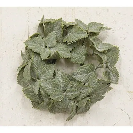 Front. BreeBe - Matte Mint Candle Ring 1" - Green.