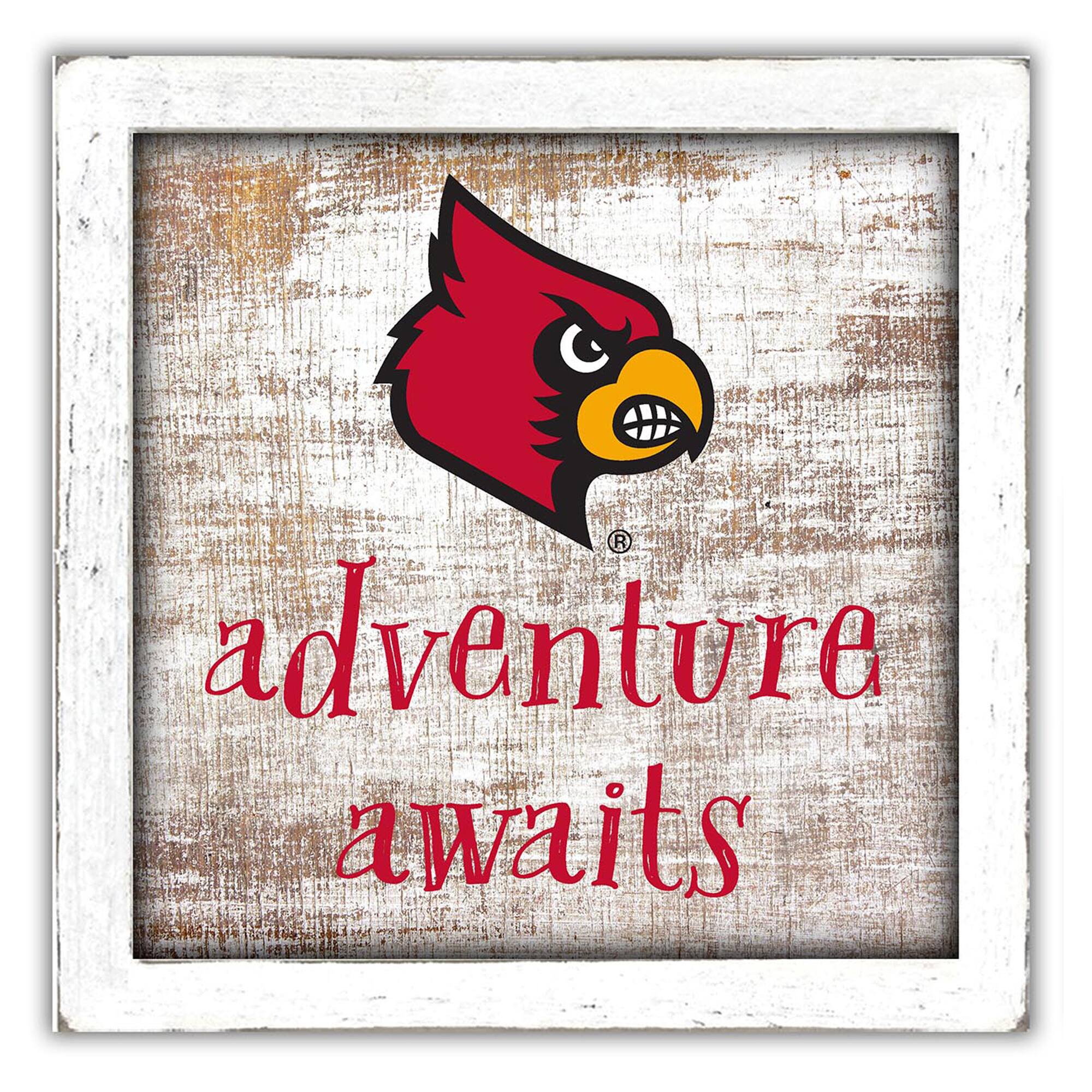 Louisville Cardinals 14'' x 13'' Adventure Awaits Money Box