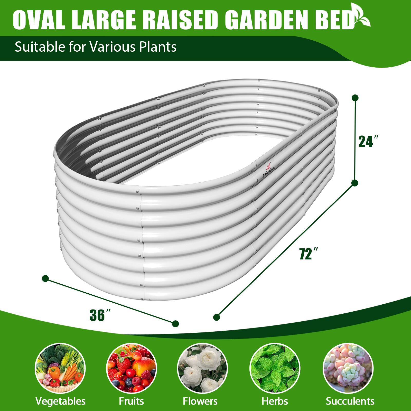 OVAL LARGE RAISED GARDEN BED  
Suitable for Various Plants  

24"  
72"  
36"  

Vegetables  
Fruits  
Flowers  
Herbs  
Succulents