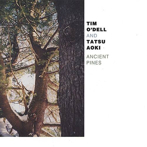 Tim O'Dell - Ancient Pines   - COMPACT DISCS [CD] price history on PriceWatchPro
