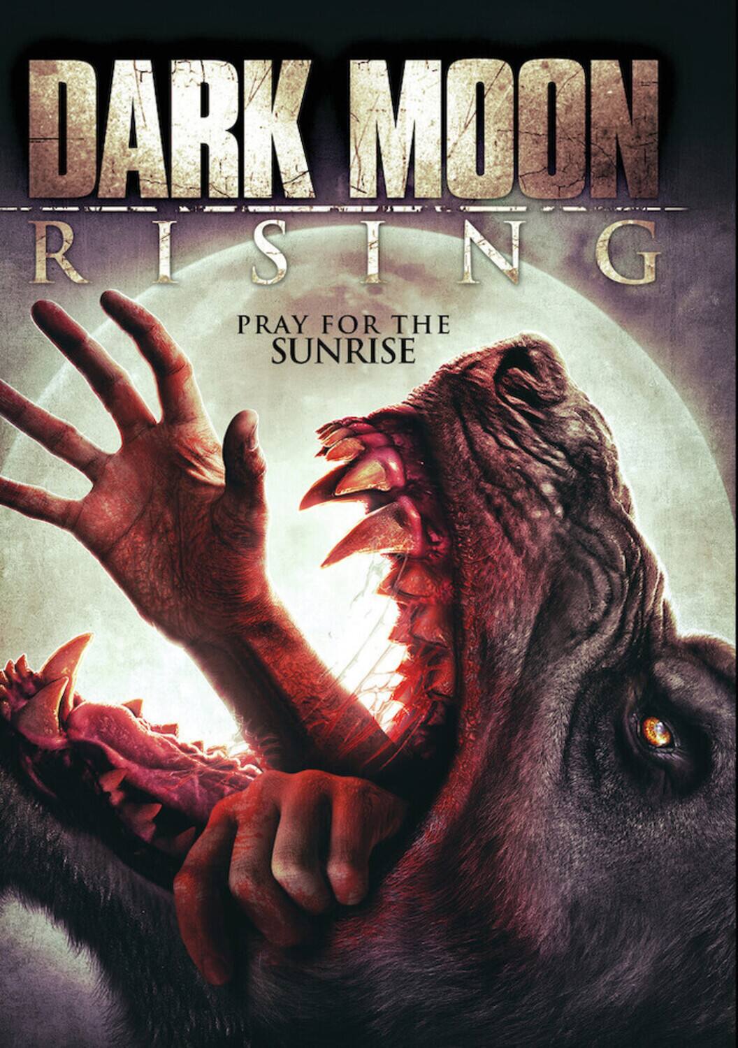 Front. Dark Moon Rising   - DVD.
