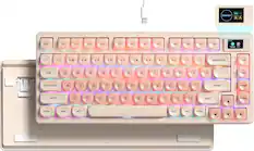 WN MAC Womier B A ESC F1 F2 F3 F4 F5 F6 F7 F8 F9 F10 F11 F12 Contig Brightness Speed - 1 ! 2 3 # 4 $ 5 % 6 & 7 * 8 ( 9 ) " + BACKSPACE Caps INS See TAB Q W E R T Y U I O P { } / | We DEL CAPS LOCK A S D F G H J K L : : ENTER PAUP SHIFT Z X C V B N M < > /? / ? SHIFT PGDN CTRL WIN ALT ALT FN CTRL