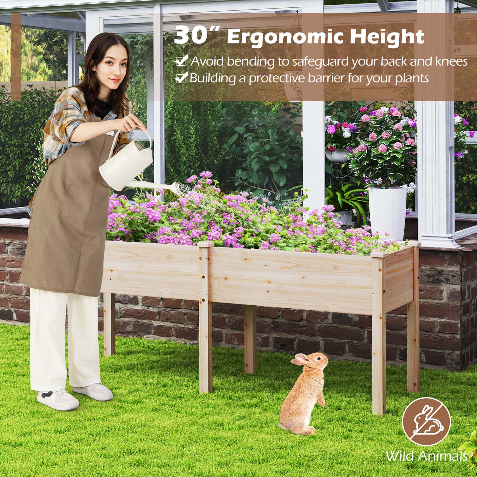The image features a woman wearing an apron and watering plants in a garden. She is using a watering can to water the plants. The image also shows a rabbit nearby, possibly attracted to the watering process. The text on the image suggests that the woman is using a 30" ergonomic height to water the plants, which helps avoid bending and safeguard her back and knees. Additionally, the image implies that the woman is building a protective barrier for her plants, possibly to keep animals like the rabbit away.
