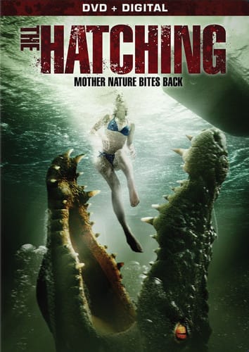 Front. The Hatching   - DVD.