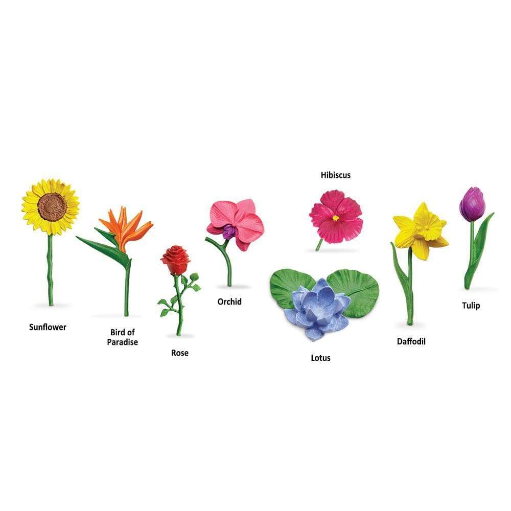 Hibiscus, Orchid, Tulip, Sunflower, Bird of Paradise, Rose, Lotus, Daffodil