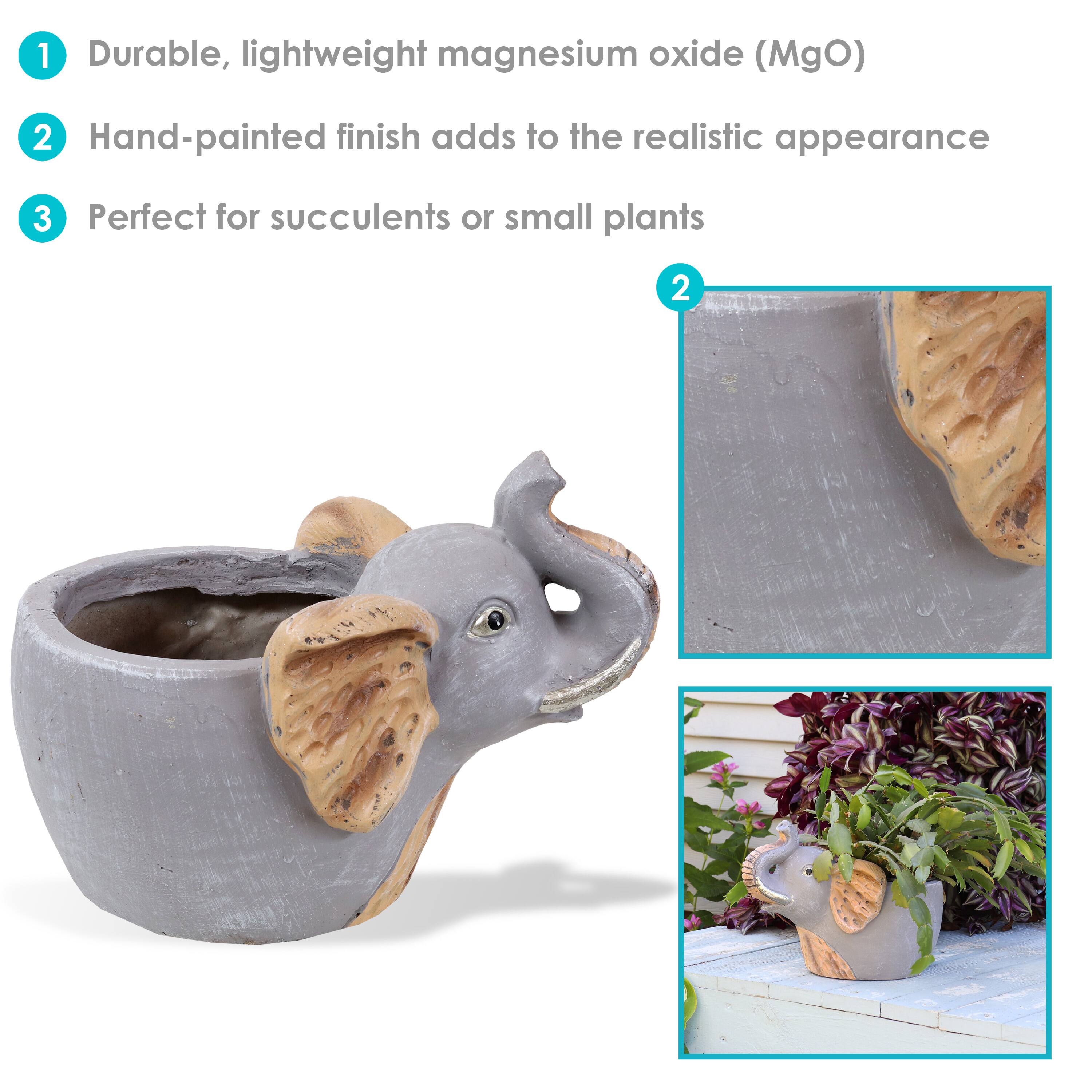 1. Durable, lightweight magnesium oxide (MgO)
2. Hand-painted finish adds to the realistic appearance
3. Perfect for succulents or small plants