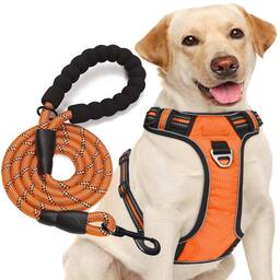 Orange Harness+Leash-X-Large