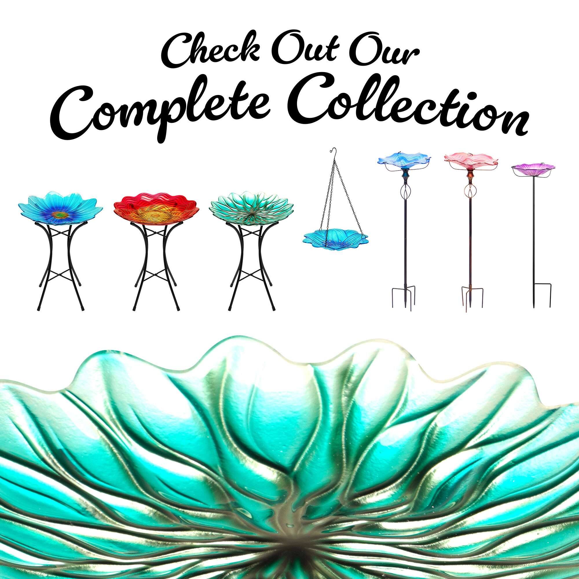 Check Out Our Complete Collection