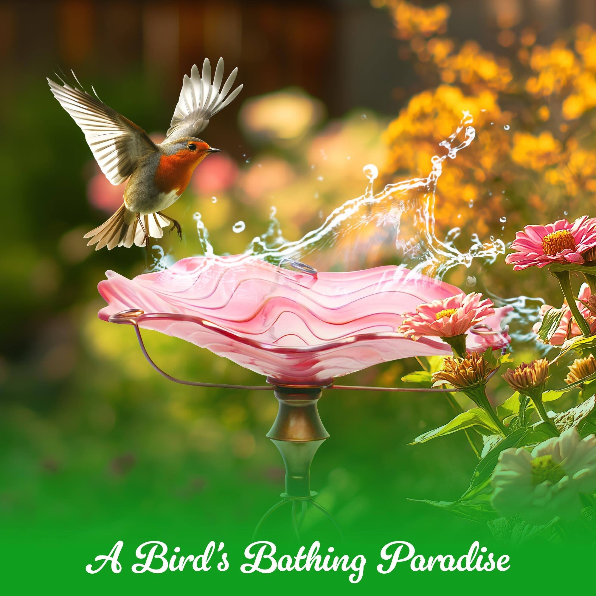 A Bird's Bathing Paradise
