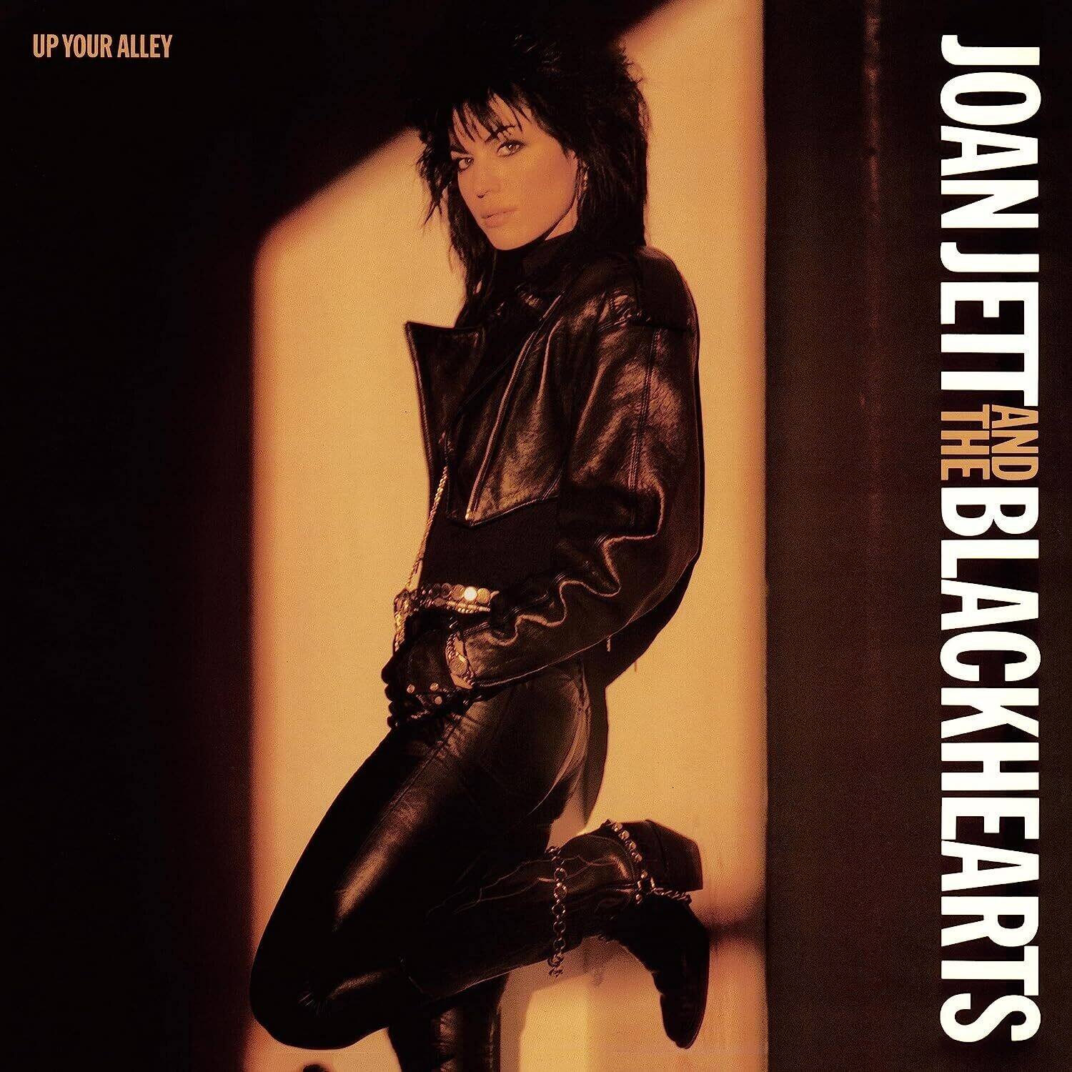UP YOUR ALLEY

JOAN JETT AND THE BLACKHEARTS