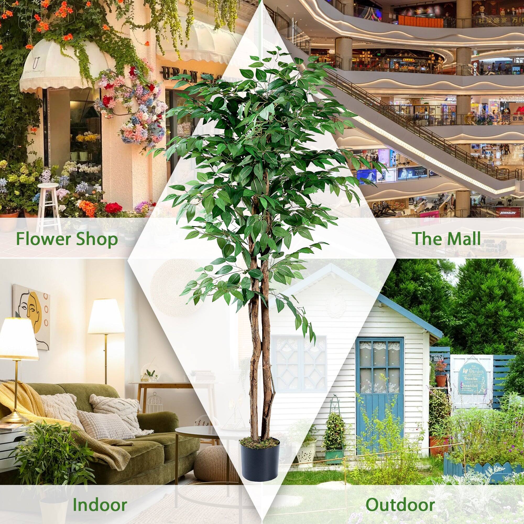 - Flower Shop
- The Mall
- Indoor
- Outdoor